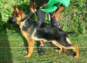 La Toya Von Haus Zipf